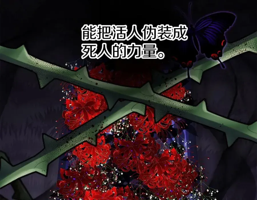 我在死敌家当团宠 第39话 对抗黑魔法 第71页