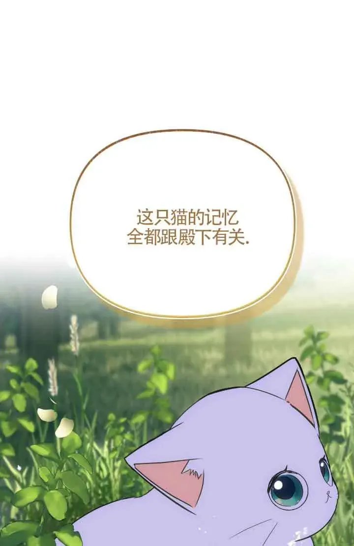 成了每晚和偏执暴君共眠的猫 第08话 第1页