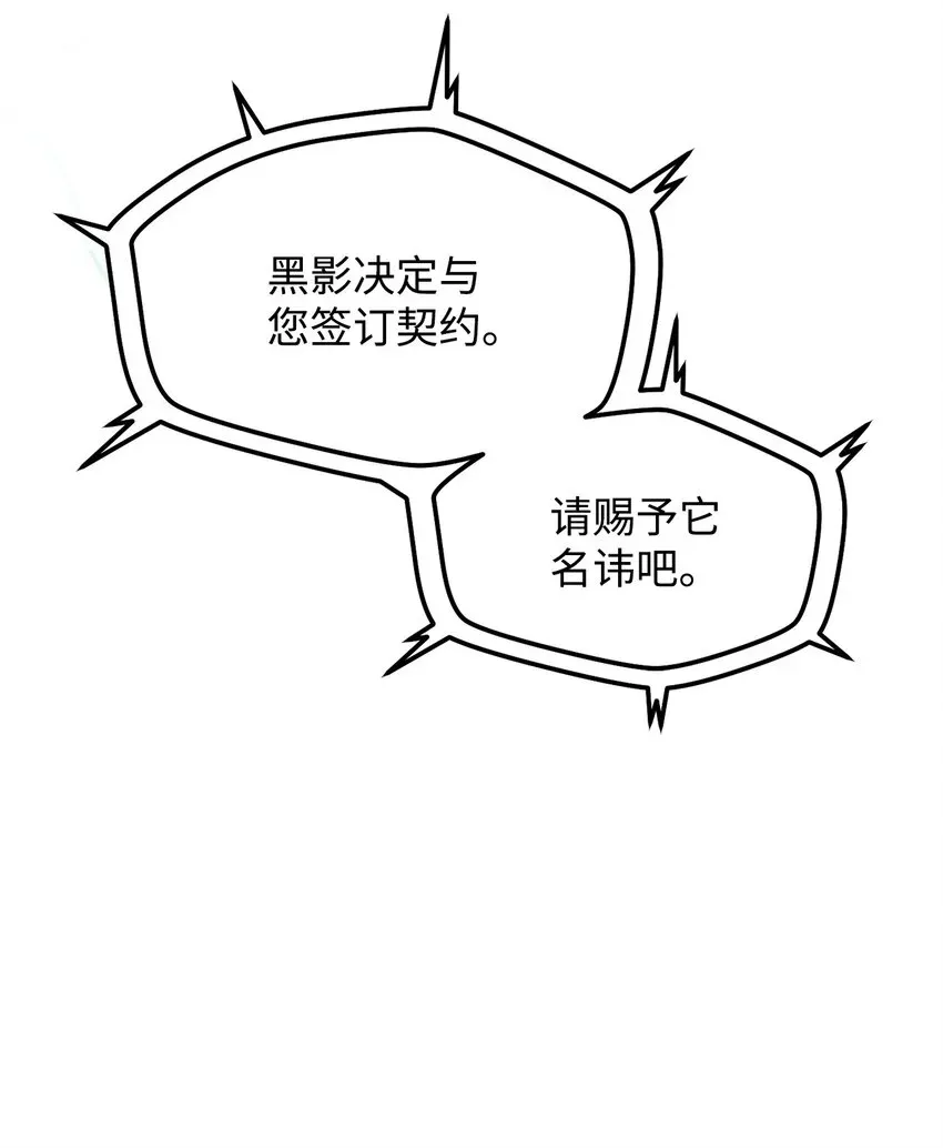 无法升级的玩家 029 魔道宗主 第107页