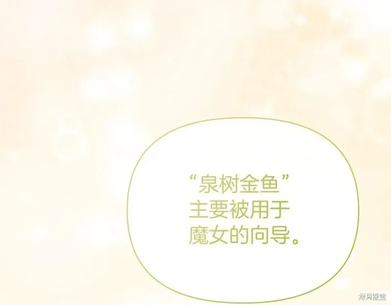 当女巫的女儿解除了男主的诅咒 第31话 第164页