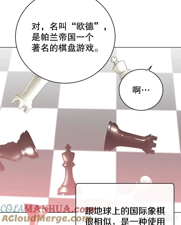 顶级英雄归来 131.跟贤者下棋 第29页