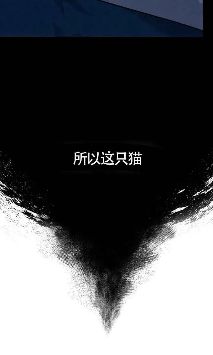 成了每晚和偏执暴君共眠的猫 第04话 第30页