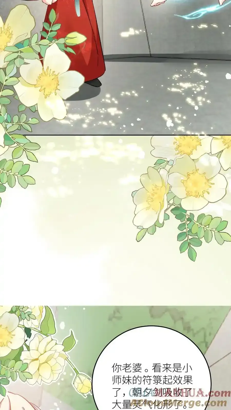 小师妹明明超强却过分沙雕 第202话 不要再来追我了！ 第33页