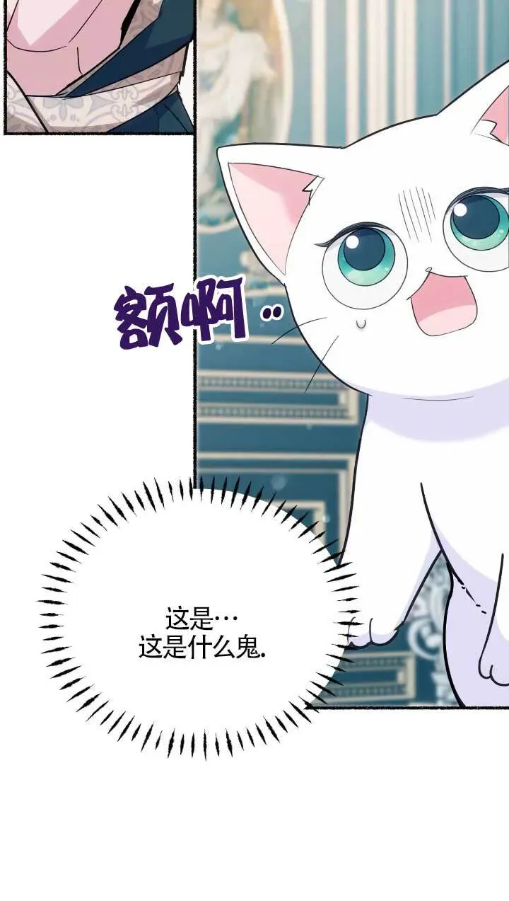 成了每晚和偏执暴君共眠的猫 第05话 第48页