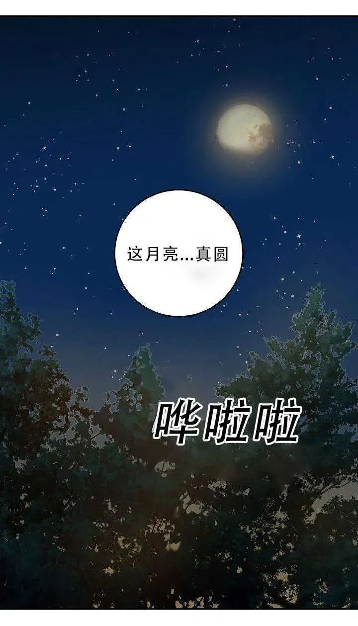 驯服暴君后逃跑了 31.舞会（2） 第68页