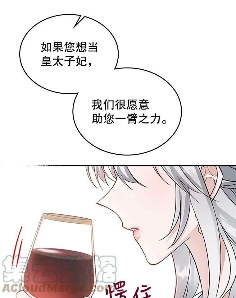 满级公女今天也很无聊 25.皇太子妃 第82页