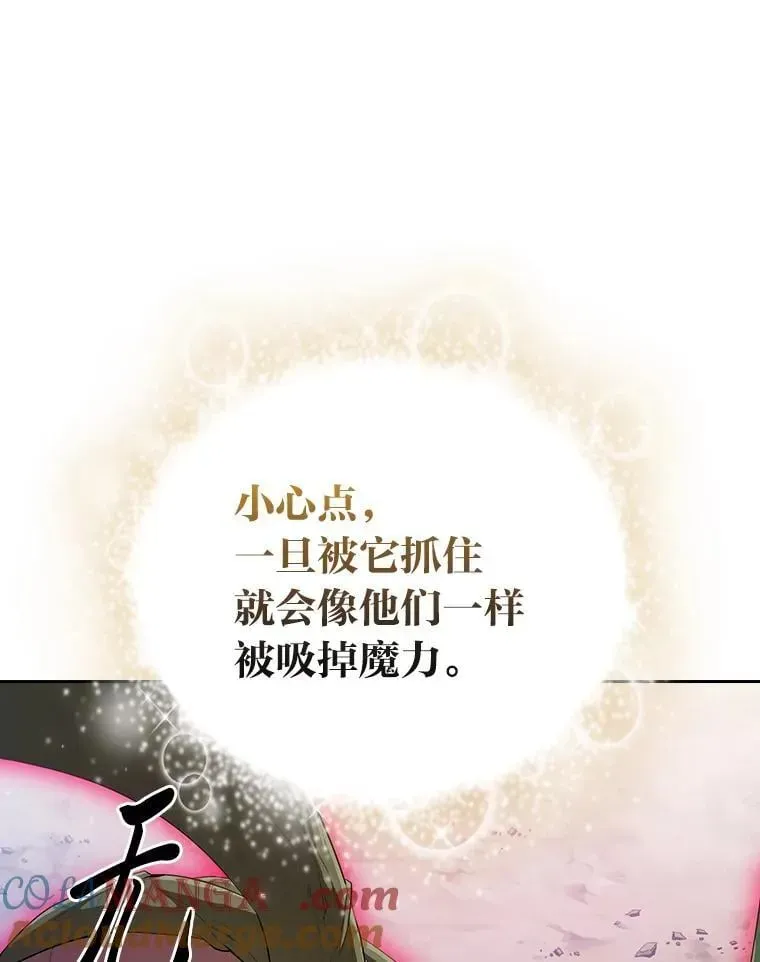 厌学魔法师想毕业 98.精灵魔法 第89页