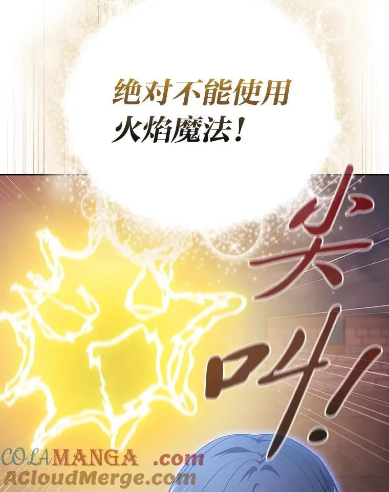 厌学魔法师想毕业 98.精灵魔法 第93页