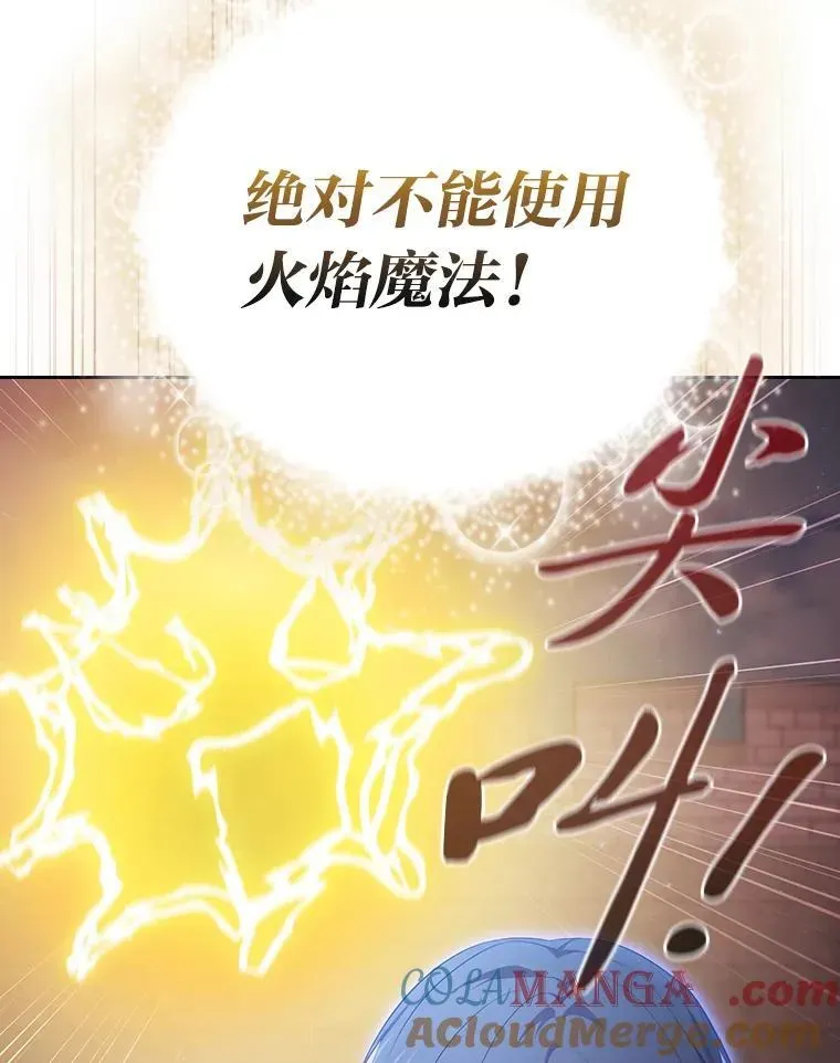 厌学魔法师想毕业 98.解决问题 第93页