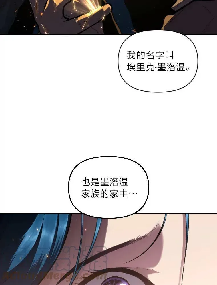 有才能的魔法师 34.表明身份 第13页