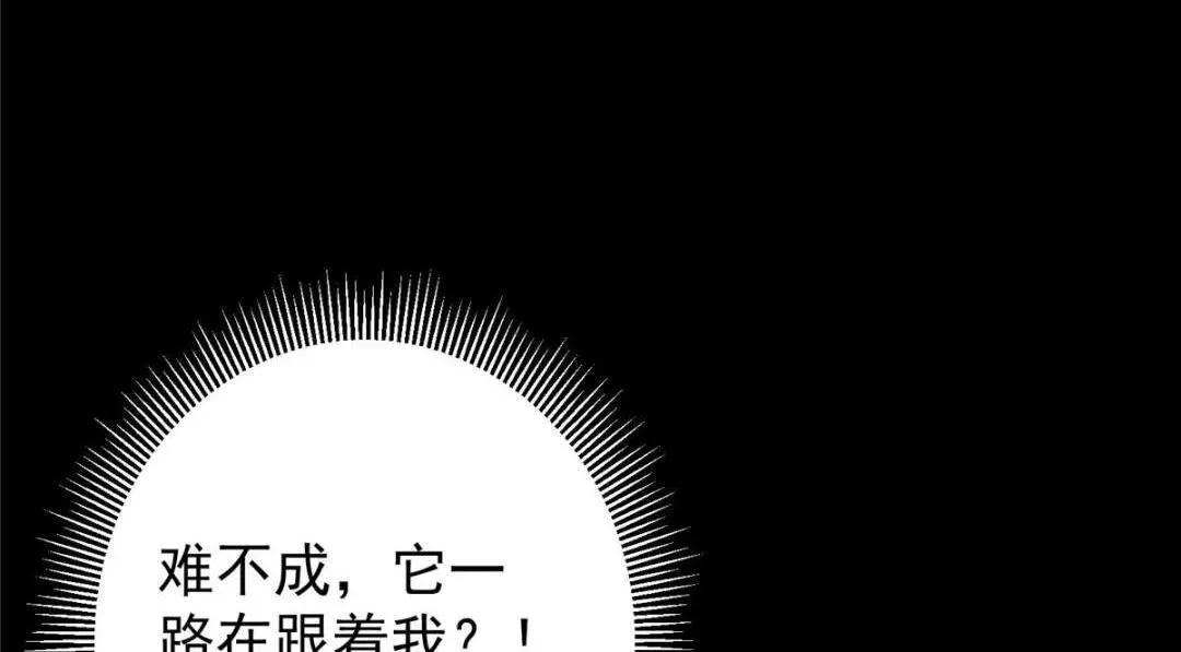 掌门低调点 242 万一是美人塔主呢？ 第26页