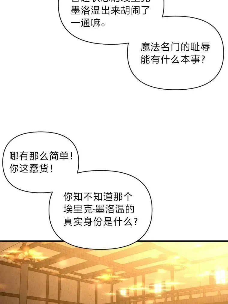 有才能的魔法师 38.骚动 第74页