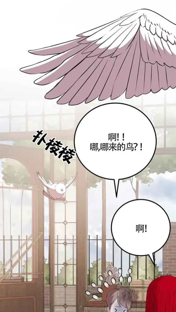 出售主人公的cp股 第79话 第41页