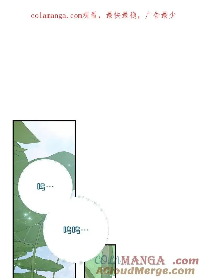 伊格列特 123.来到精灵界 第1页