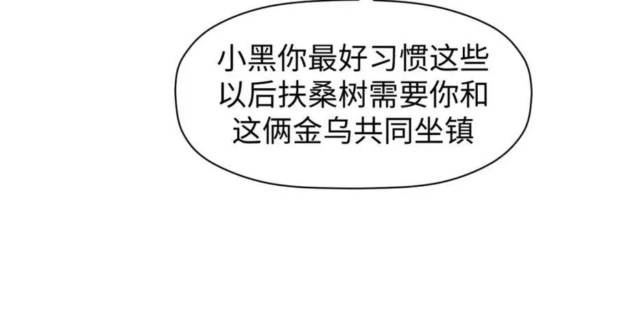 顶级气运，悄悄修炼千年 149 收服金乌 第159页