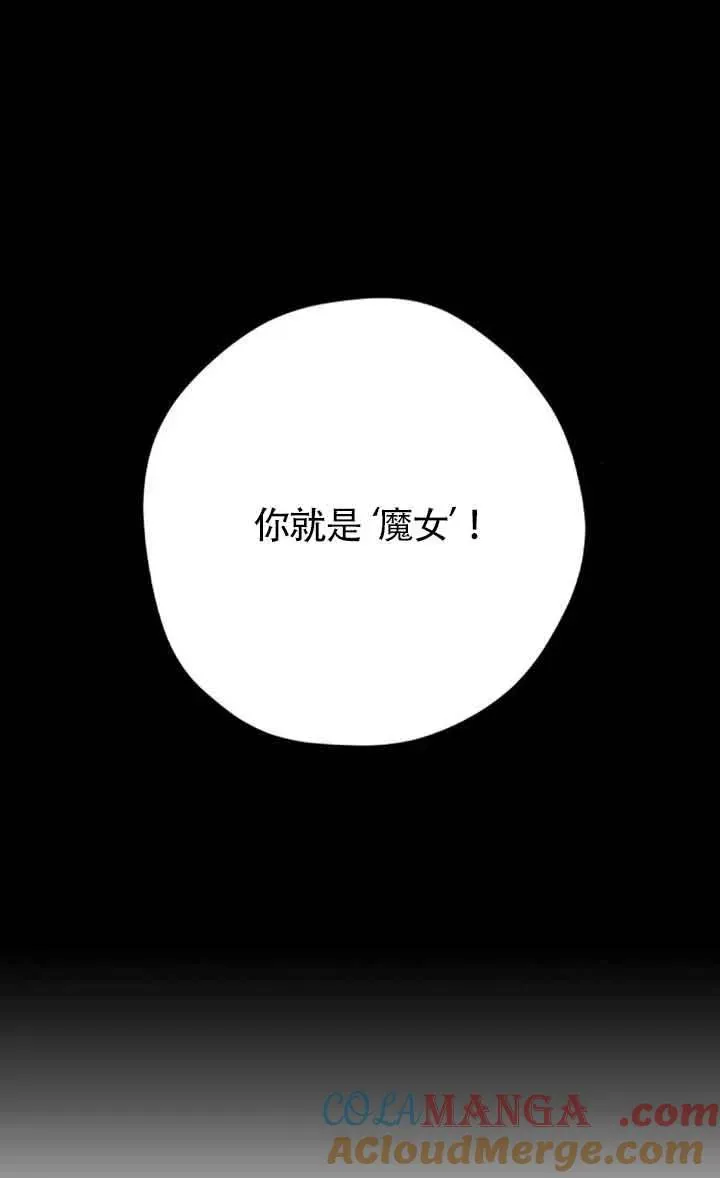 灵药魔女 第66话 第28页