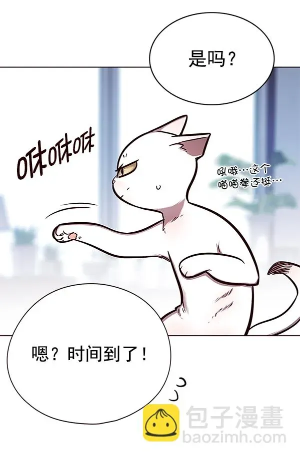 觉醒吧，铲屎官！ 第144话 第43页