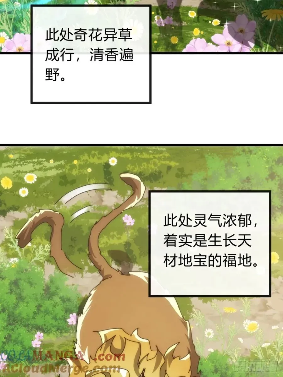 请公子斩妖 124话 打赌 第49页