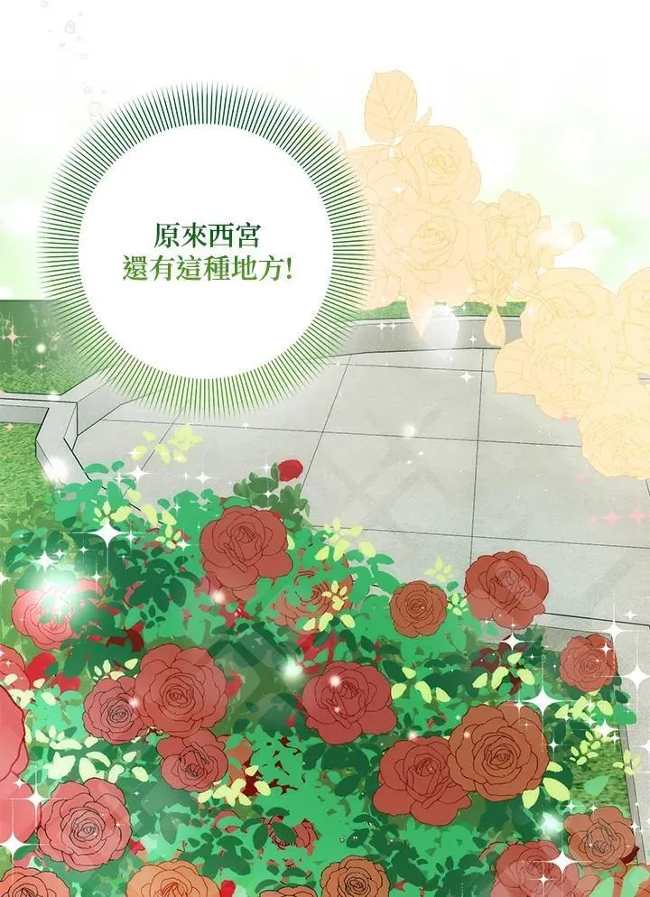 成为病弱女主角的妹妹 第35话 第60页