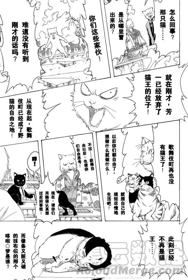 银魂 第279话 野猫哀歌 第11页