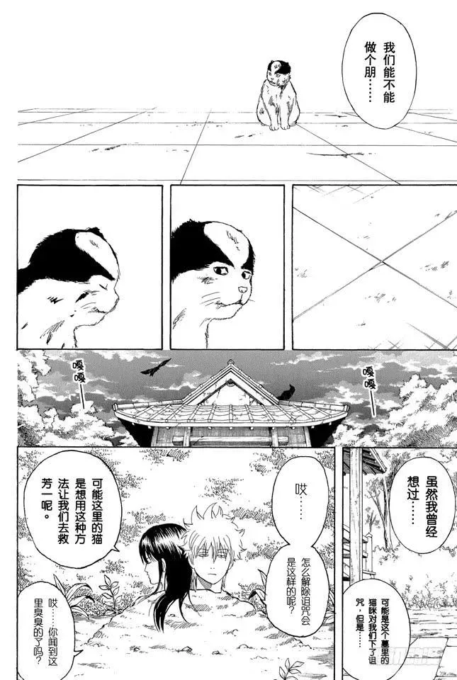 银魂 第279话 野猫哀歌 第16页