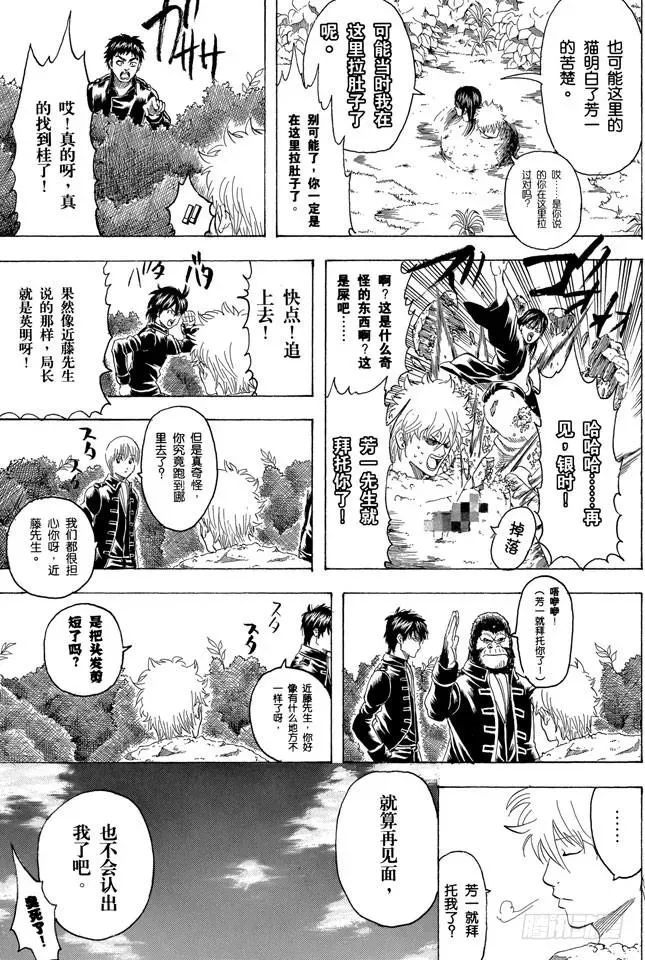 银魂 第279话 野猫哀歌 第17页