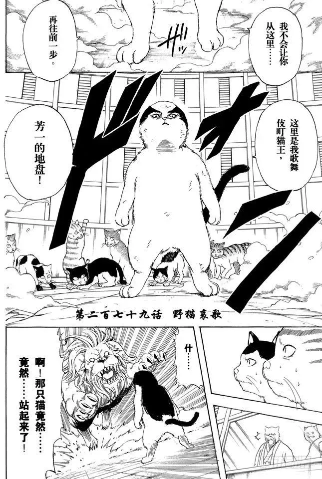 银魂 第279话 野猫哀歌 第2页