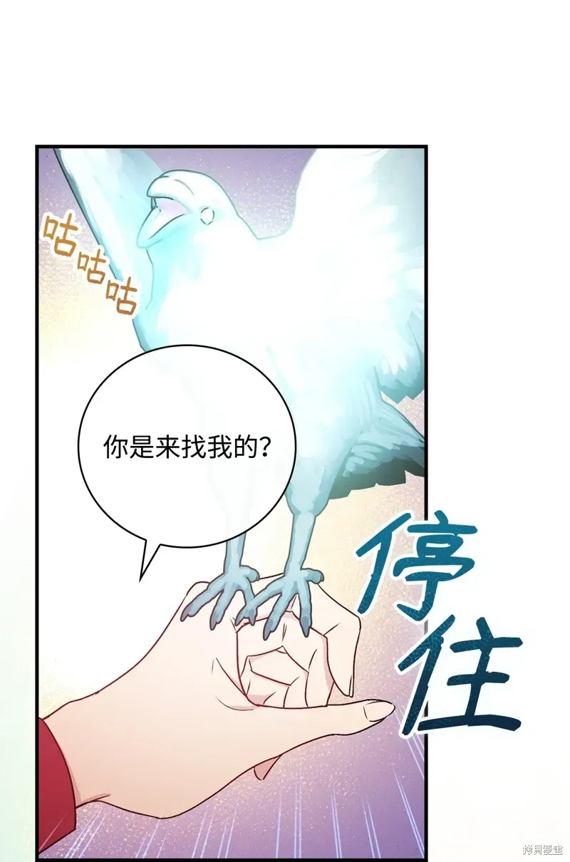 红骑士绝不追求不劳而获的金钱 第97话 第37页