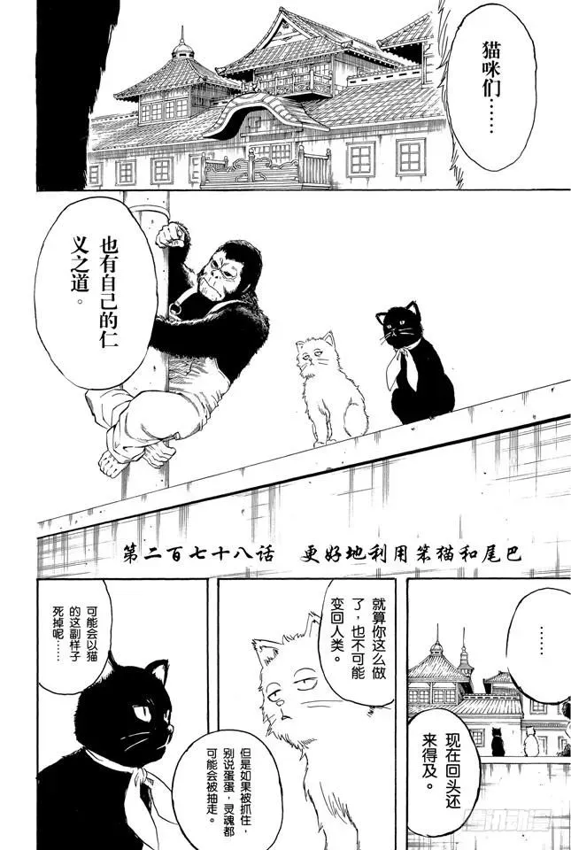 银魂 第278话 更好地利用笨猫和尾巴 第4页