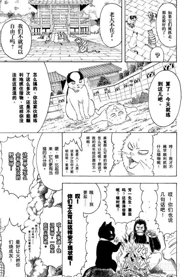 银魂 第277话 所谓自由并不是无法无天，而是按照自己的规矩去做 第5页