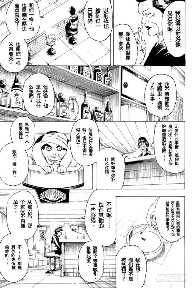 银魂 第279话 野猫哀歌 第7页