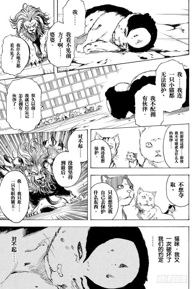 银魂 第279话 野猫哀歌 第9页