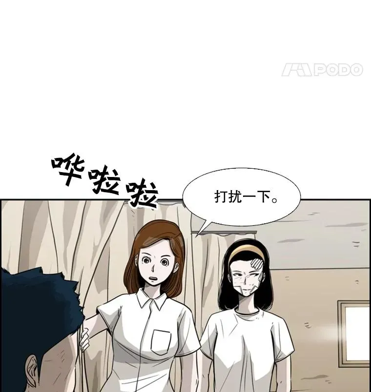 鲨鱼 46.相似 第20页