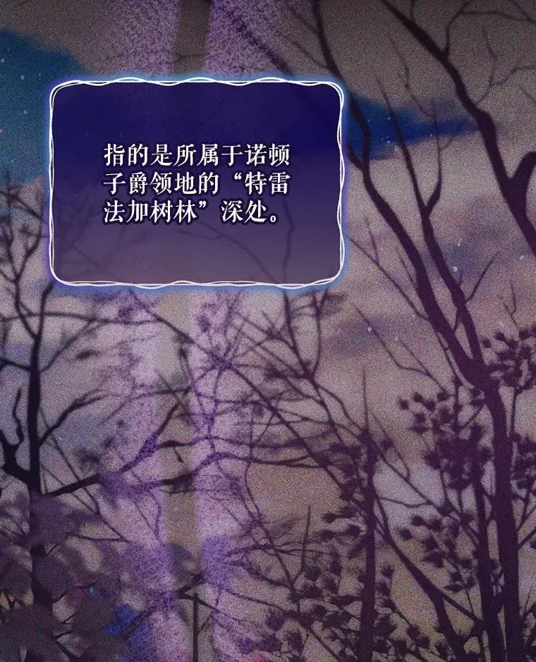 结局制造者 38.魔女之林 第2页