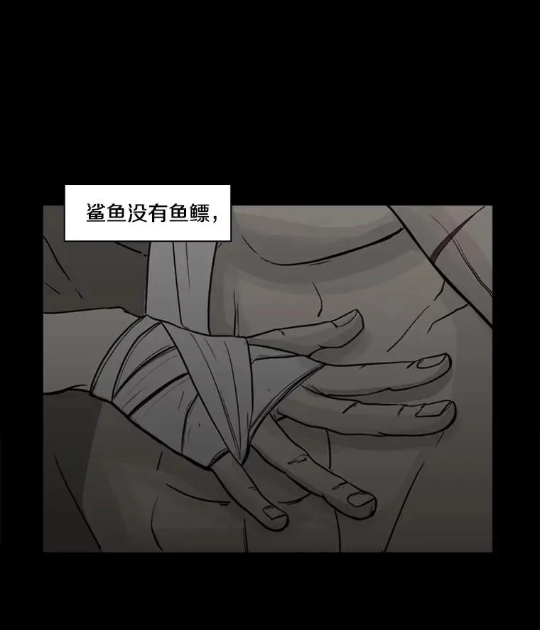 鲨鱼 0.鲨鱼 第6页