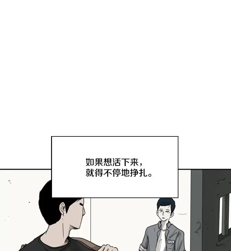 鲨鱼 51.不死鸟 第84页