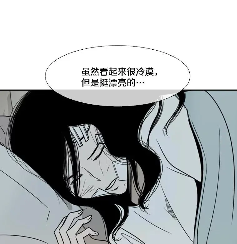 鲨鱼 46.相似 第90页