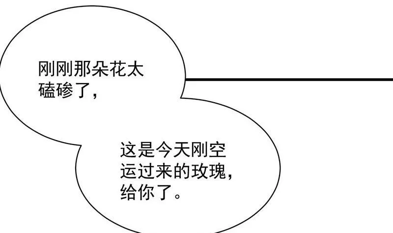 惹上首席帝少 番外 小剧场 第31页