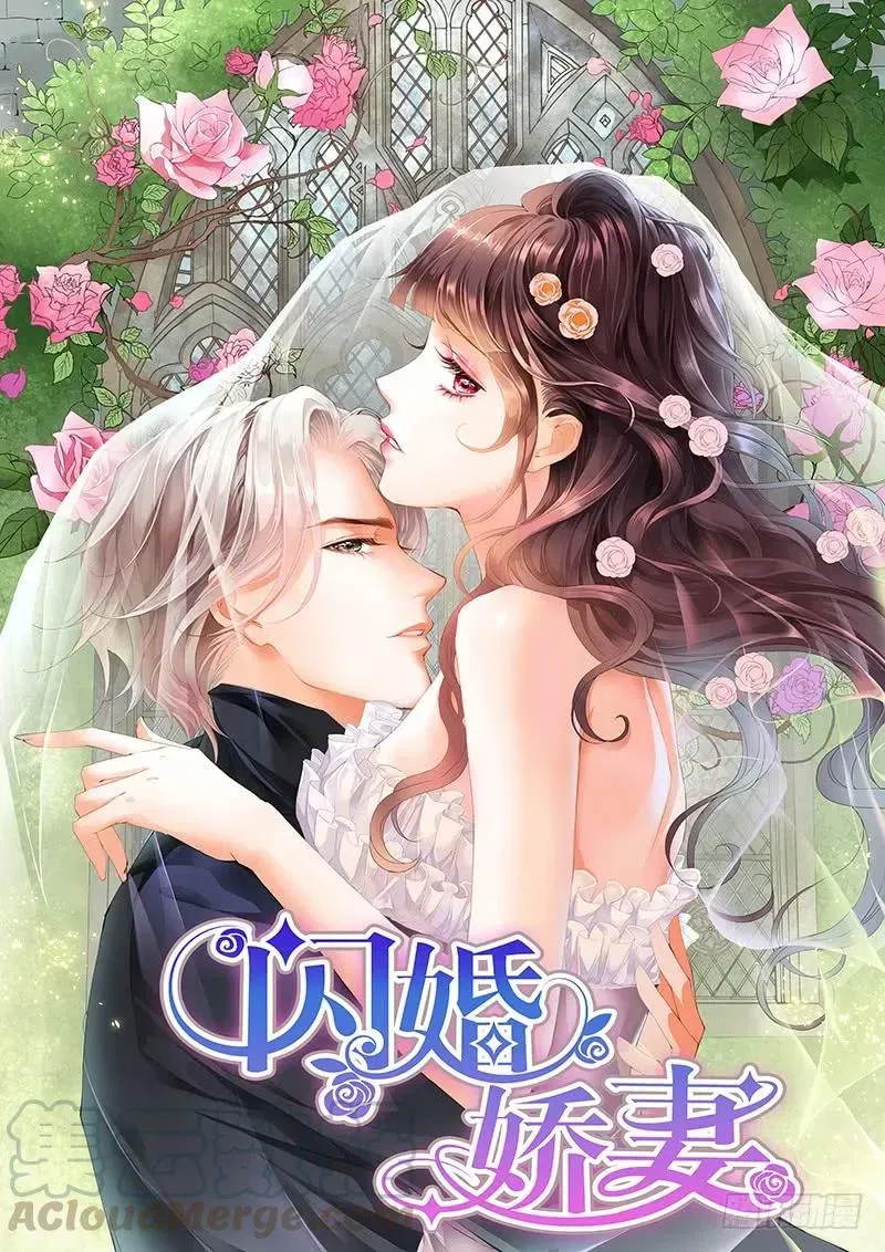 闪婚娇妻 平安夜的幸福 第1页