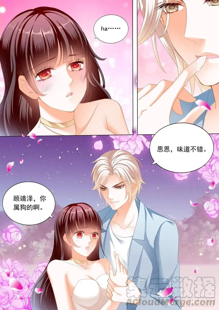 闪婚娇妻 你太好吃了 第13页