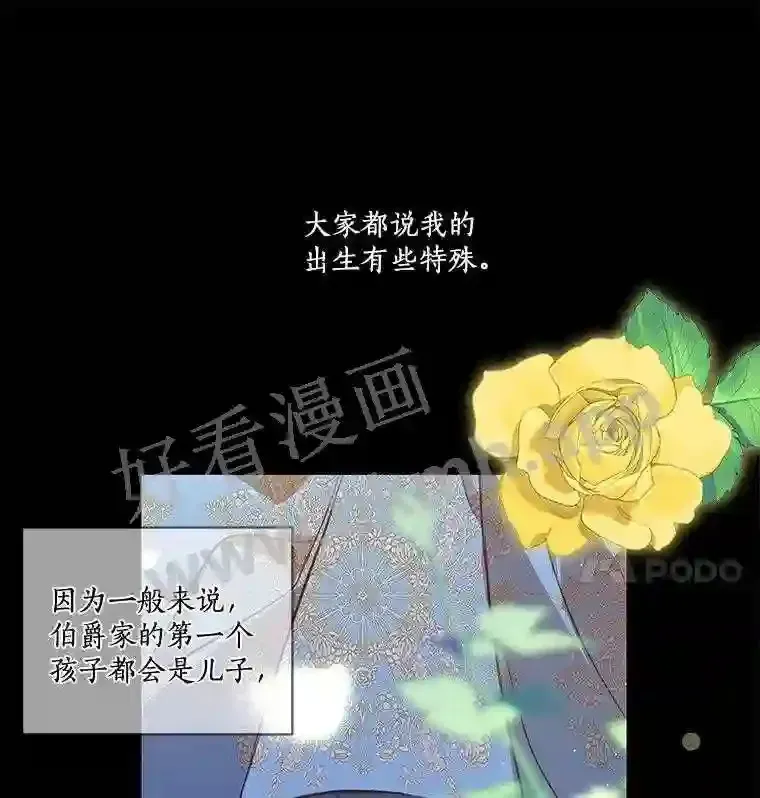 龙套大公子妃的花路人生 1.受到诅咒的孩子 第29页