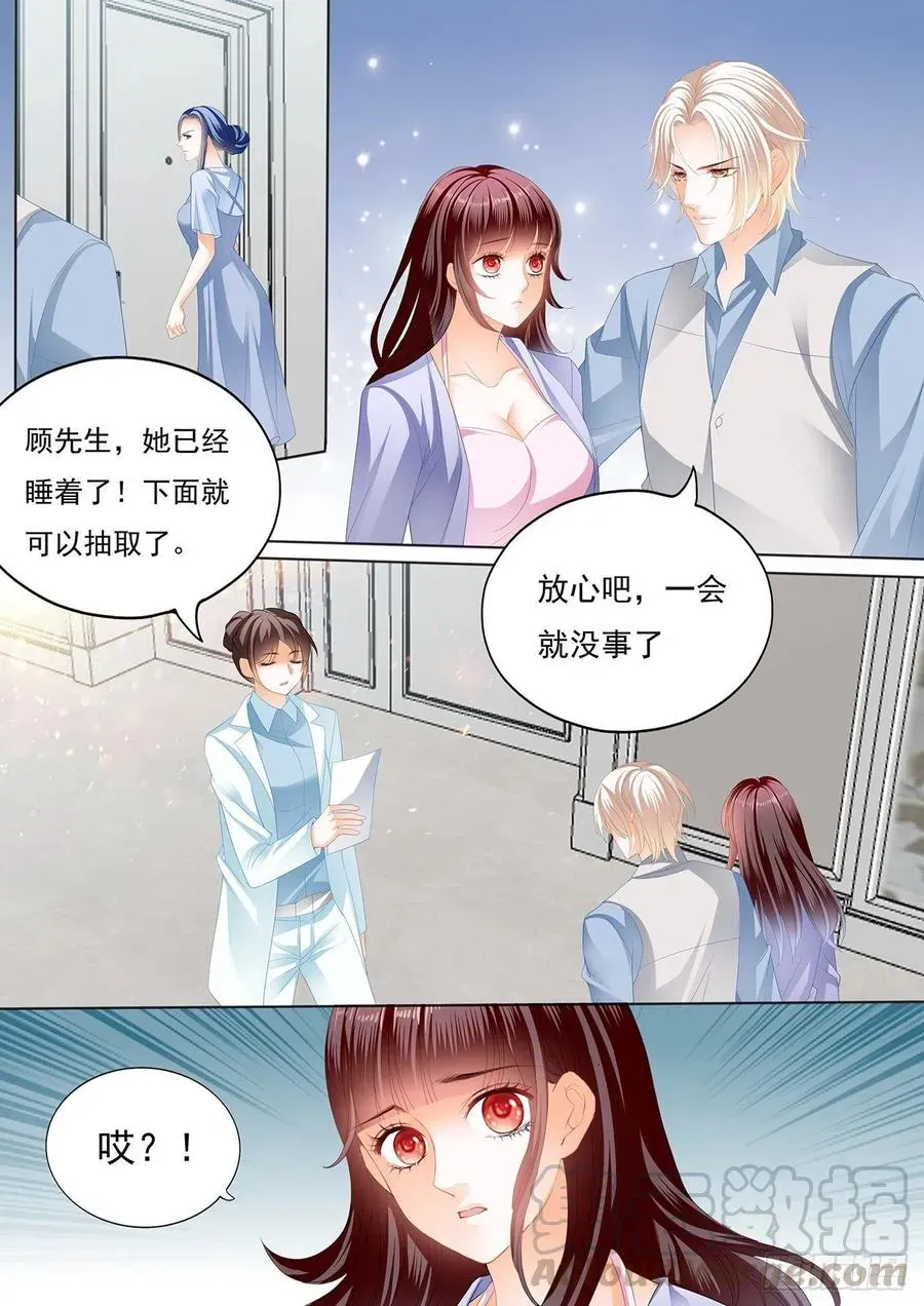 闪婚娇妻 亲子鉴定 第5页