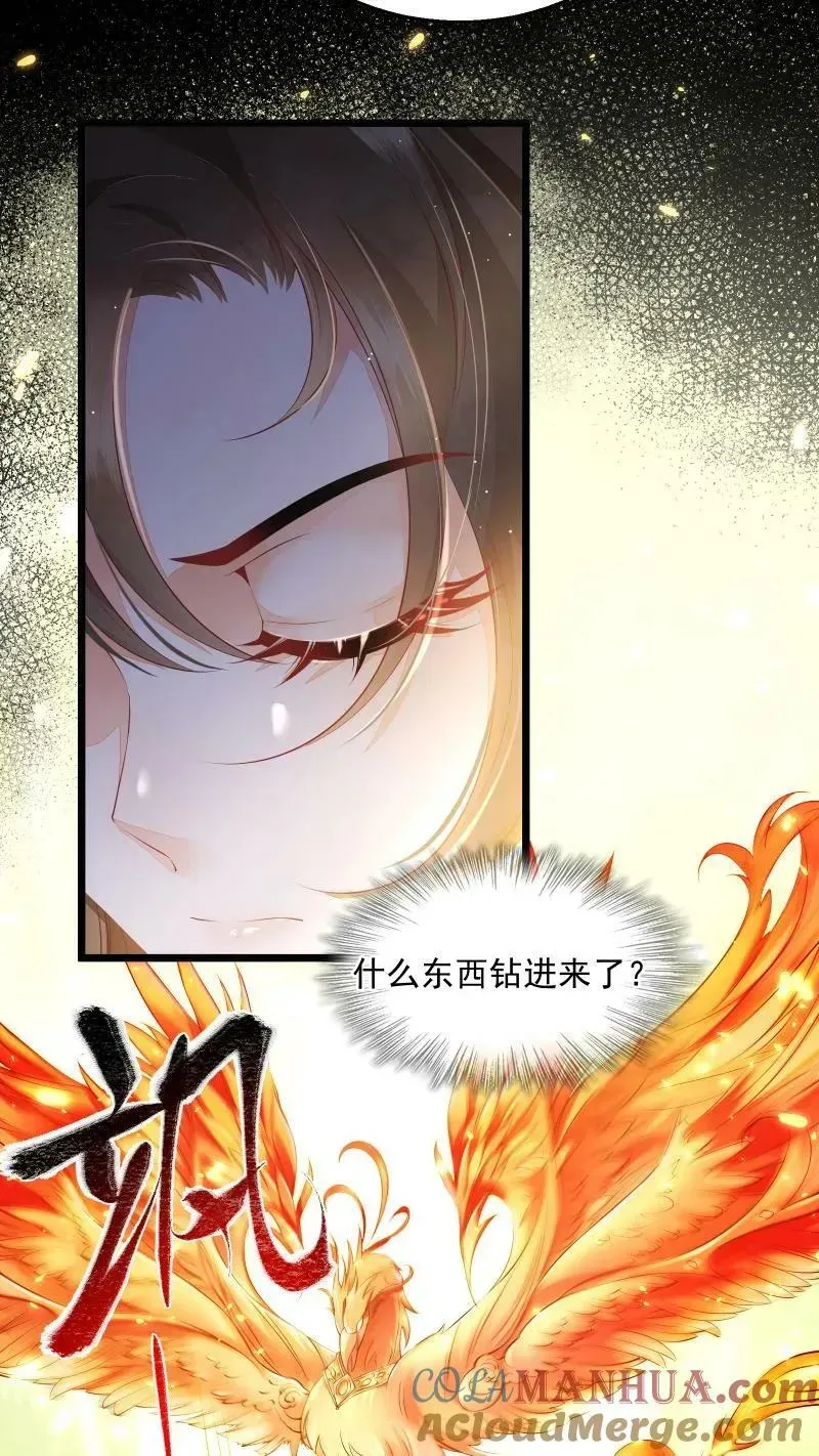 论反派摆烂的一百零八种方式 第5话 这破鸟想当我主人 第13页