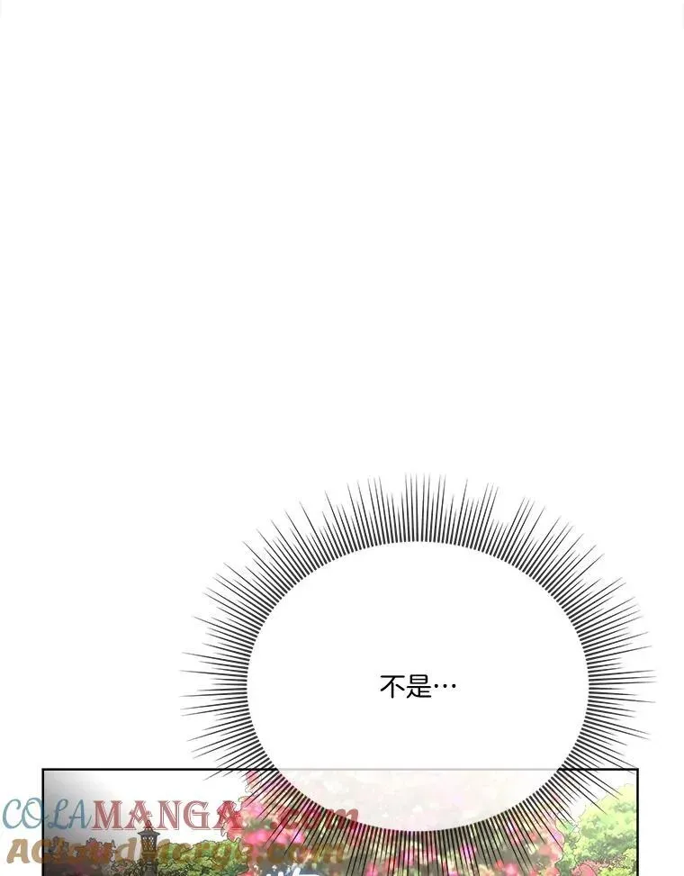 临时保护我方男主 52.殿下的礼物 第101页