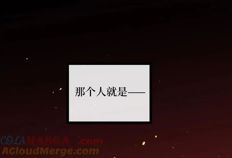 废柴重生之我要当大佬 240.推选盟主 第193页