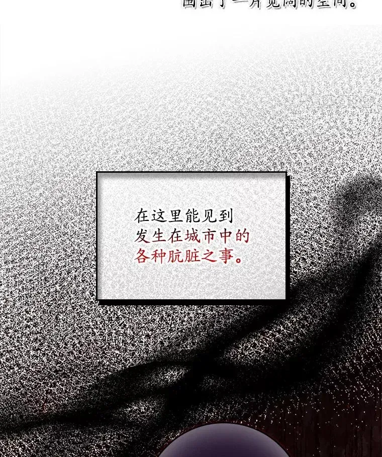 专门对付恶棍 19.秘密通道 第111页