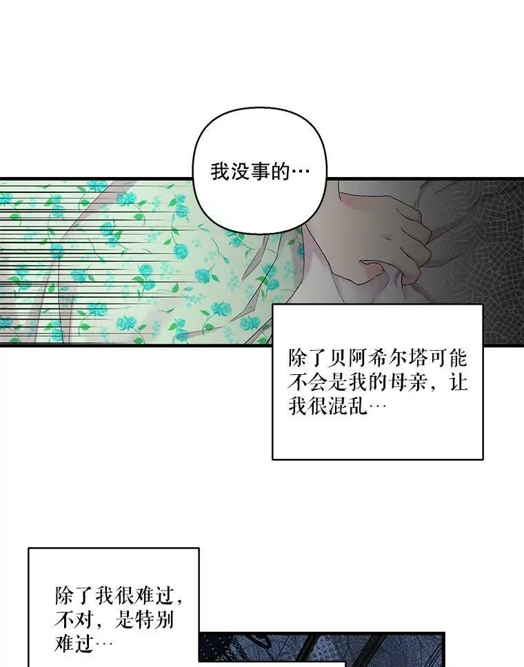 宝贝皇后殿下 65.约定 第51页