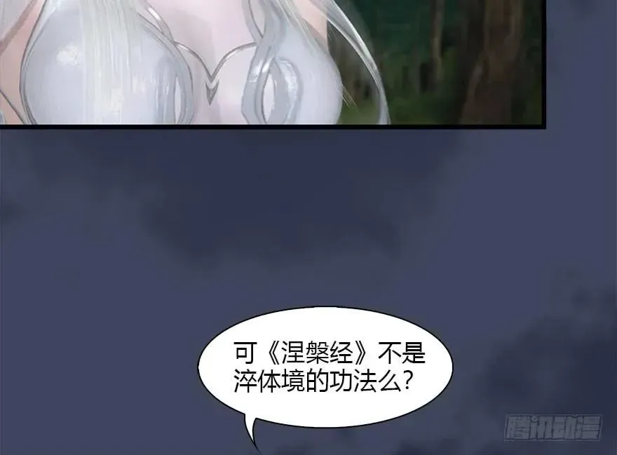 堕玄师 083 凝识境 第20页