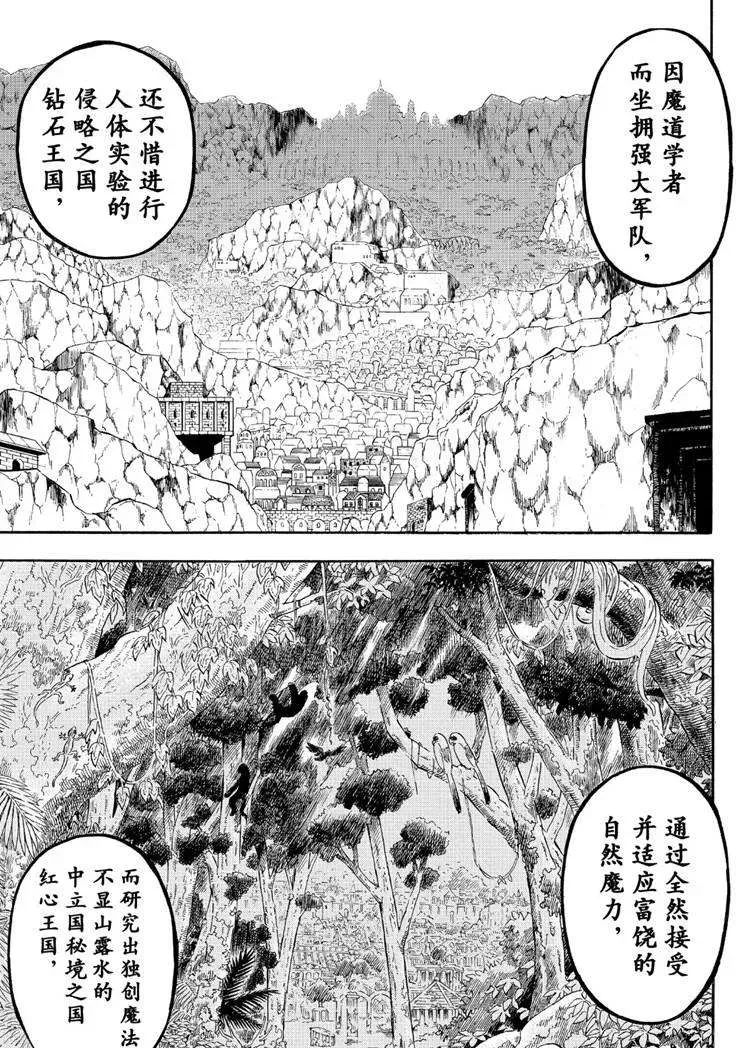 黑色四叶草 第216话 第5页