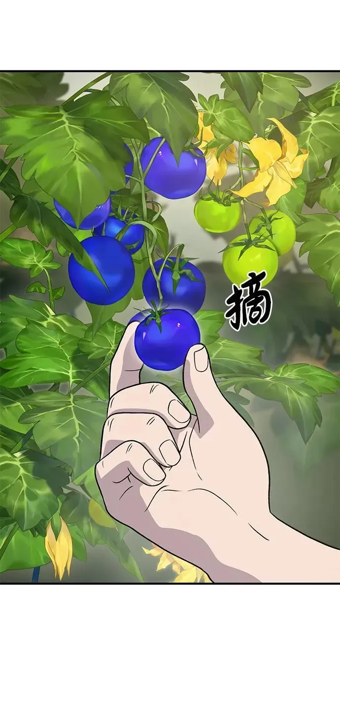 我独自在高塔种田 [第31话] 我是泰奥叔叔喵！ 第85页